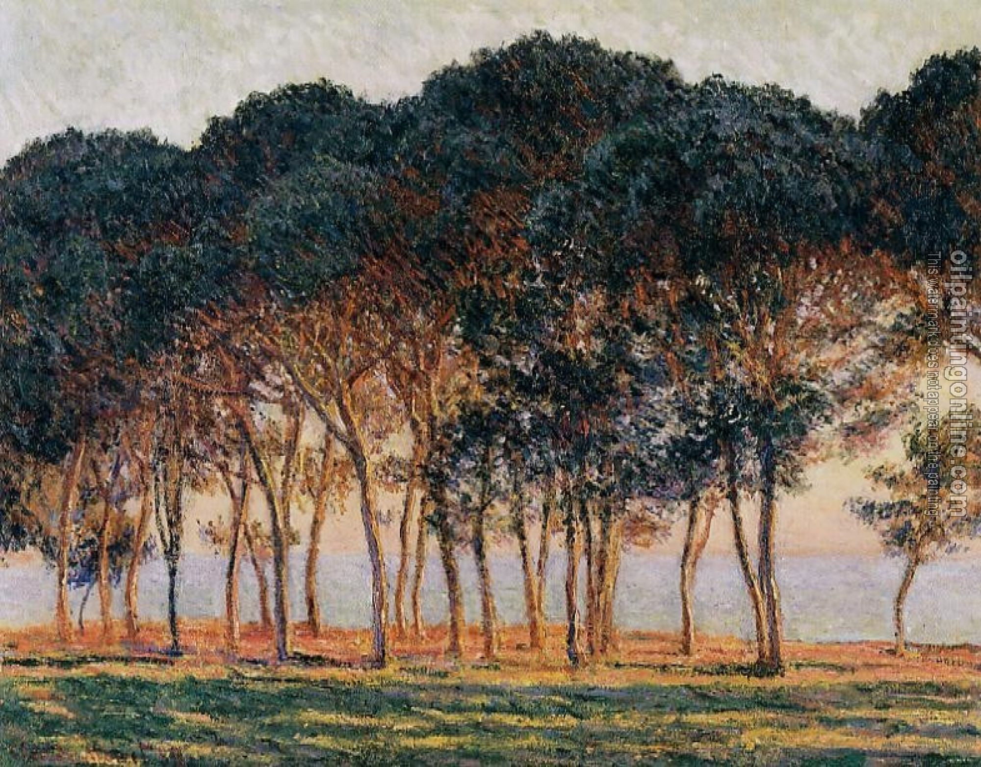 Monet, Claude Oscar - Under the Pine Trees at the End of the Day